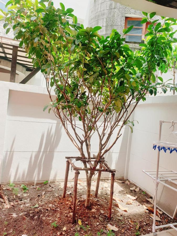 Kru Nat'S Bed & Breakfast W/ Private Rooms & Gym Bangkok Bagian luar foto